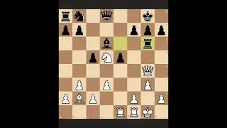 Tamaz Gelashvili vs Merab Gagunashvili