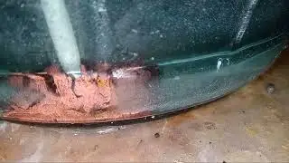 99.99 fine copper crystal growth pt.2