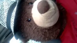 Cutest teddy bear ever