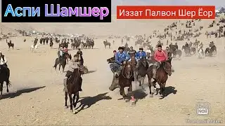 БУЗКАШЙ ЧИНОР ДАР  Ш ПАНҶАКЕНТ 06.12.2025 Улоқ Саразим