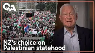 Former top diplomat on Govt's Palestinian state decision | Q+A 2025