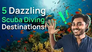 From vibrant reefs to unique marine life: Your guide to 5 amazing scuba diving destinations
