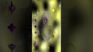 .EXP Teinted