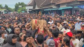 Onar‼️Bantengan ROGO SAMBOYO PUTRO Ft Pelangi Audio Live Tunggulrejo Baleturi Prambon Nganjuk