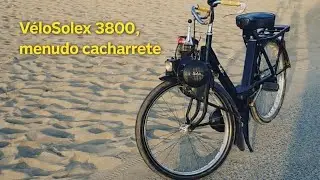 Velosolex 3800.