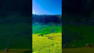 Uff yaar Sukoon 🥺❤️❤️🥀 #jannatkashmir #mountains #travel #glacier #sonmarg #nature #gulmarg
