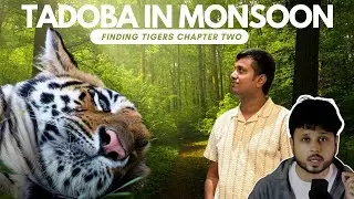 क्या टाइगर दिखा 😨 🐅| TADOBA IN MONSOON | CHAPTER TWO | हिन्दी HINDI JUNGLE SAFARI 