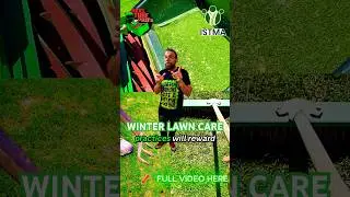 Winter Lawn Care Hacks from a Pro #LawnCareHacks #WinterLawnCare