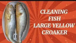 ASMR CLEANING FISH LARGE YELLOW CROAKER #asmr #fish #seafood #satisfying Ams Vlog0722🇭🇰 is live!!