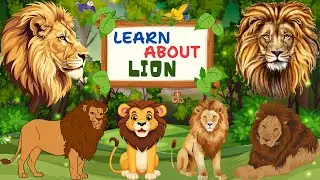 LEARN ABOUT LION in english with video | #wildanimals   #wildlife   #kids #kindergartenkids #learn