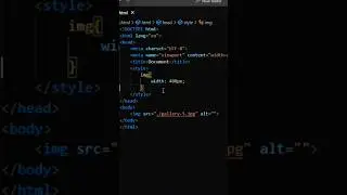 image filter in css || css filter property 