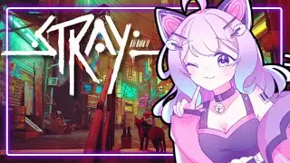 Running from authority 😈 - Stray