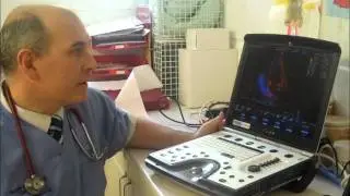 Craig Devine with his GE Vivid-q from BCF Technology