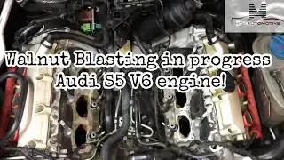 Walnut Blasting Audi S5 V6 engine by MTM Automotive