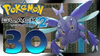 Pokemon Schwarz 2 Nuzlocke Part 30: Doch noch keine Arena?