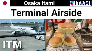 [ITM] Osaka Itami Airport Airside Review 大阪伊丹空港 りくろーおじさん チーズケーキ