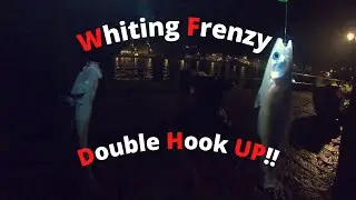 Pier Fishing - Whiting Frenzy! (Sea Fishing UK) Top Trending Fishing Video 2021