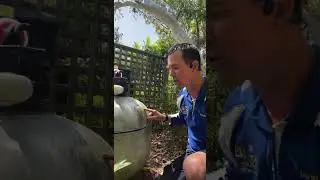 Cartridge vs Sand Filter: what the pool pro's say