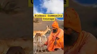 Bishnoi Community: A History of Courage and Environmental Protection