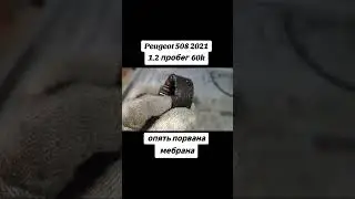 Peugeot 508 1.2 puretech 60т.км., порвана мембрана и сильный износ ремня