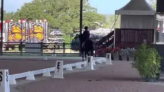 Salsa Hit . Grand Prix Special. Global Dressage. August 2021