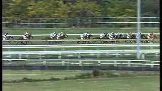1993 Golden Slipper - Bint Marscay