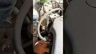 Нужен совет специалиста!