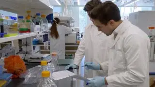 Dartmouth PhD Innovation Program: Steven Ionov