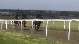 Warren Hill 2nd canter Maybury leads Globemaster and Glen Etive