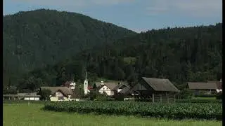 Bukov&scaron;ka - Janez Triler harmonika