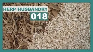 Best Snake Substrates and Beddings
