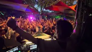 Rising Dust Live | Festival Energy in 50 seconds