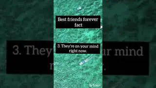Who is your bestie? Best friends fact #shorts #facts #friends #friendship #bestie #dpmindset
