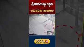 Leopard Halchal Near Srivari Mettu at Tirumala Temple | Tirupati | #local18shorts