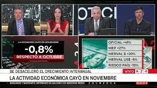 🔴 LA ACTIVIDAD ECONÓMICA CAYÓ EN NOVIEMBRE: SE DESACELERÓ EL CRECIMIENTO INTERANUAL