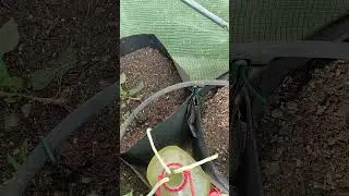 Easy DIY Drip Irrigation System #gardening #diy