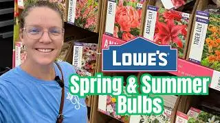 🌷 Луковицы и саженцы от Lowe’s: что стоит выращивать (успехи и неудачи)