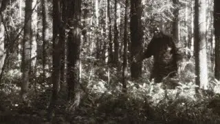Hilarious scary Bigfoot sighting and attack #bigfoot #cryptid #skit #comedy