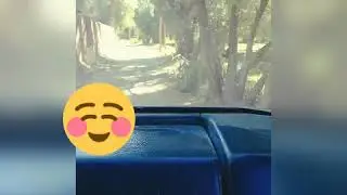 💛Tadighoust💛