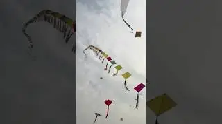 Makar Sankranti special status🌸🚩#makarsankrantispecial❤️ #sankranti2026 #sankrantistatus #status