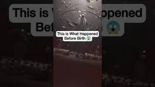 Before You Were Born: Incredible Facts About the Womb