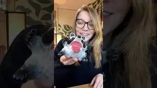 Создаём хитрого енота 😼