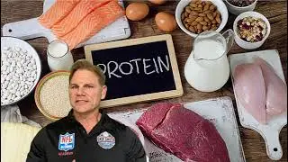 Nutrition Bite - Protein