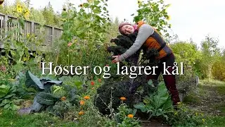 K&Aring;L - h&oslash;ster, lagrer og gj&oslash;r klart k&aring;lbed til vinteren