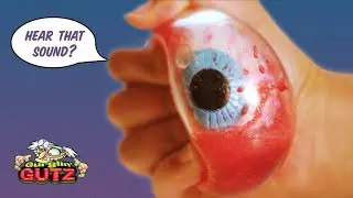 Funded Today Presents 🎬 Gurglin&rsquo; Gutz Toy