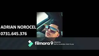 ADRIAN NOROCEL   PROGRAM LAUTARESC ( LIVE )