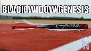 2024 LOUISVILLE SLUGGER | BLACK WIDOW | USSSA 240 SLOWPITCH BAT REVIEWS | LNH