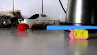 CWC- the snail job film