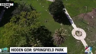 A hidden gem found in Springfield: Springfield Park