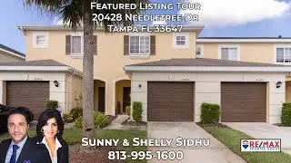 20428 Needletree DR Tampa FL 33647